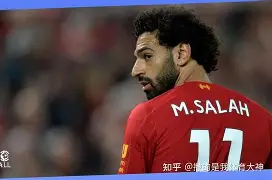 多米真人-cba上海队